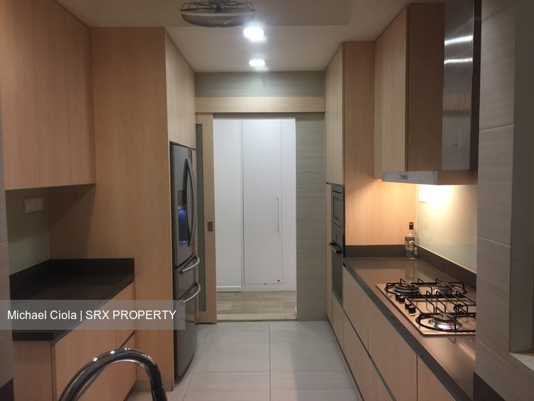 Regency Park (D10), Condominium #205954351